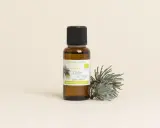 Flacon d'huile essentielle de cèdre de l'Atlas, aux vertus purifiantes et calmantes, posé à côté d'une branche de cèdre.