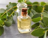 Huile essentielle d'eucalyptus citronné : attention au danger. Flacon de liquide jaune pâle entouré de feuilles vertes sur fond de bois.