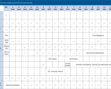 Tabla guía de actividades preventivas para niños con SD. Muestra controles y evaluaciones para saber si un bebé tiene síndrome de Down.