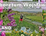 Arboretum Wojsławice: Kiedy jechać, by zobaczyć najpiękniej?