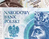 Ile zarobisz na stażu w 2026? Mediana 4930-6980 zł brutto!