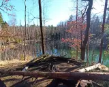 Wczesnowiosenny krajobraz w lasach Orleanu. Jezioro odbija niebo, a na brzegu leżą powalone drzewa.