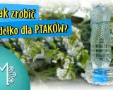Jak zrobić zraszacz do wody? DIY z butelki PET i PCV tanio i prosto!
