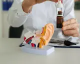 Lekarz pokazuje model ucha i krople, które mogą być antybiotykiem na zapalenie ucha.