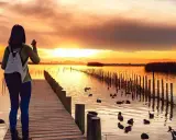 Albufera de Valencia: tu guía para la paella, aves y atardecer mágico