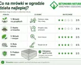 Tabela porównuje metody walki z mrówkami w ogrodzie. Skuteczne sposoby na mrówki to m.in. usuwanie mszyc (5/5) i zabezpieczenie ogrodu na lata (5/5).
