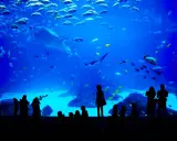 Poema del Mar: Gran Canaria bilety, dojazd, atrakcje. Czy warto?