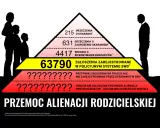 Piramide problemów: od orzeczeń po zgłoszenia policyjne. Liczby pokazują skalę przemocy alienacji rodzicielskiej.