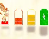 Batteries symbolisant l'énergie : une rouge avec des aliments et vitamine B3, une orange à moitié vide, une jaune presque pleine, et une verte pleine d'énergie.
