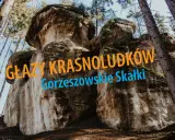 Głazy krasnoludków w Gorzeszowskich Skałkach, potężne formacje skalne wśród drzew, wyglądają jak kamienne cuda natury.