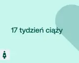 17 tydzień ciąży. Dziecko waży ok. 150g. Ikony D+ i kobiety w ciąży.