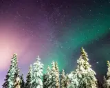 Snötäckta granar under en stjärnklar himmel med en magisk aurora north.