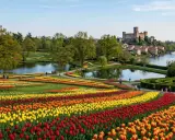 Un tripudio di tulipani colorati, un lago e un castello sullo sfondo: la primavera in Italia è uno spettacolo.
