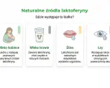 Naturalne źródła laktoferyny: mleko kobiece, krowie, ślina i łzy. Laktoferyna to białko występujące w wydzielinach organizmu.