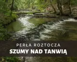 Malownicze szumy nad Tanwią, gdzie woda spływa po kamieniach, tworząc kaskady. W tle zielony las i ścieżka z kładką.