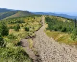 Kamienista droga wije się przez zielone wzgórza Beskidu Sądeckiego. W oddali widać kolejne pasma górskie.