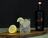 Erfrischender Gin Tonic mit Zitrone, Eis und einer Flasche "Shadows" Gin. Die perfekten gin tonic zutaten für einen lauen Abend.