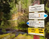 Kolory szlaków PTTK: Mit o trudności obalony! Co naprawdę znaczą?