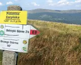 Połonina Caryńska, 1297 m n.p.m. Znaki wskazują drogę do Ustrzyk Górnych (2h) i Brzegów Górnych (50').