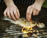 Hände legen einen Fisch auf den Grill. Mit etwas Übung gelingt das Fisch grillen ohne kleben.