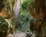 Sentiero tra le suggestive cave etrusche di Pitigliano, con pareti rocciose ricoperte di muschio e vegetazione.