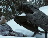 En fryst Ronja, en av de nya Ronja skådespelare, möter en stor fågel i snön.