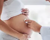 Lekarz osłuchuje brzuch ciężarnej kobiety, która jest w 24 tygodniu ciąży.