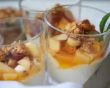 Leckeres Joghurt Dessert mit Früchten und Granola in Gläsern, garniert mit Minze.