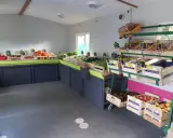 Un étal de fruits et légumes frais, évoquant les saveurs de la Bretagne et ses spécialités culinaires.