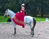Amazonka konie: Co to znaczy? Poznaj świat jazdy w damskim siodle