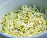 Frischer spitzkohl salat mit Schnittlauch und Chili-Flocken, appetitlich in einer Schüssel angerichtet.