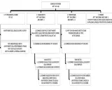 Schema sull'esame dei testimoni (artt. 497-499 cpp): atti preliminari, esame diretto, controesame e riesame.