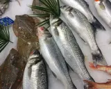 Poissons frais sur glace, prêts pour une délicieuse marinade. Loups de mer argentés et poissons plats tachetés.