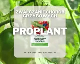 Proplant – środek do zwalczania chorób grzybowych pomidorów i ogórków. Chroni rośliny, działa długo.