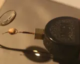 Mikroskopijna książeczka, eksponat w muzeum najmniejszych książek świata, czeka na odkrycie pod lupą.