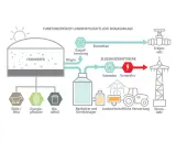 Schema einer Biogasanlage: Gülle, Energiepflanzen und Bioabfall werden im Fermenter zu Biogas, das aufbereitet und in einem Blockheizkraftwerk zur Stromerzeugung genutzt wird. So entstehen erneuerbare Gase.