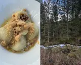 Pyszne pierogi z owocami i kruszonką, serwowane w bacówce Biały Potok, obok szumiącego górskiego potoku.