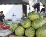 Stoisko z arbuzami na targu. Widać stos zielonych arbuzów i kilka pokrojonych na talerzu z lodem. Sprzedawca pokazuje, jak pokroić arbuza.
