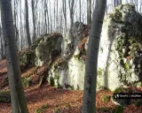 Kamieniste zbocza w dolinie Szklarki, porośnięte mchem i opadłymi liśćmi. W tle las z nagimi drzewami.