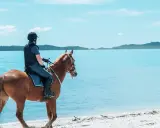 Agroturystyka nad jeziorem: przejażdżka konna po plaży. Piękny dzień, błękitne niebo i spokojna woda.