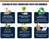 Jak ograniczyć efekt cieplarniany? Praktyczny przewodnik 2026