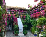 Blühende patios in Córdoba, ein Meer aus bunten Blumen, das sich über Wände und Treppen rankt.