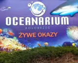 Oceanarium Kołobrzeg: Godziny otwarcia, ceny i jak zaplanować?