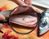 L'anisakis nel pesce crudo è un pericolo: se non cotto bene, anisakis si muore. Qui si vede un verme sotto lente d'ingrandimento.