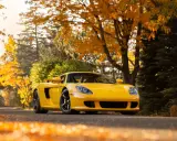 Gelber Porsche Carrera GT parkt unter Herbstlaub.