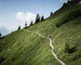 Zwei Wanderer genießen das bergauf laufen auf einem schmalen Pfad durch eine grüne Berglandschaft mit vereinzelten Bäumen und einem blauen Himmel.
