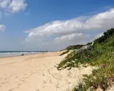 Sonniger Strand an der Costa de la Luz mit sanften Wellen, Sanddünen und blühenden Pflanzen.