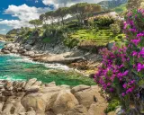 Scogliera fiorita sull'Isola d'Elba, cosa vedere: mare cristallino, pini marittimi e case arroccate.