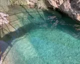 Cristalinos charcos de quesa, con rocas y vegetación en los bordes, reflejando la luz del sol.