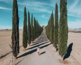 Una donna cammina lungo un viale di cipressi nel Val d'Orcia, con un casale in cima alla collina.